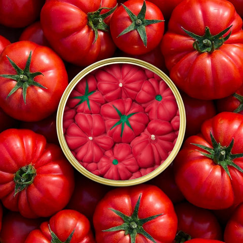 CandleCan - Tomato - Gourmet Duftkerze - 300g