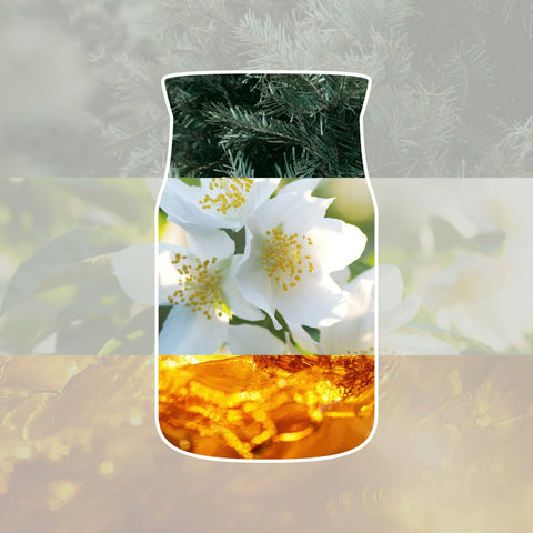 Raumdüfte von Yankee Candle jetzt online kaufen | AlletDufte.de