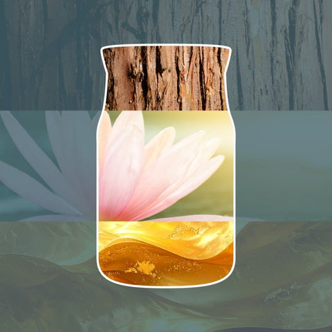 Raumdüfte von Yankee Candle jetzt online kaufen | AlletDufte.de