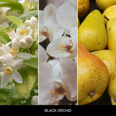Mr&Mrs Fragrance - Niki - Black Orchid - Autoduft
