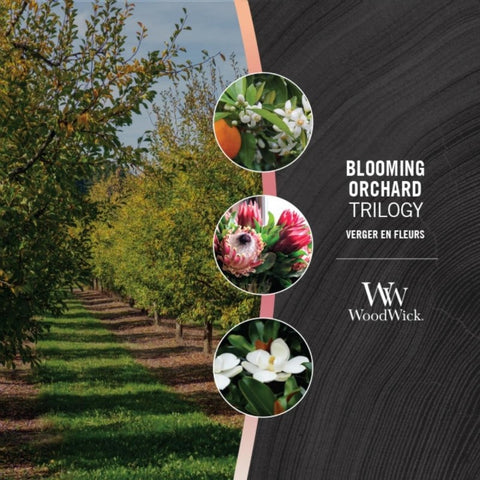 WoodWick - Blooming Orchard Trilogy - Duftkerze