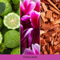 Mr&Mrs Fragrance – Niki – Citrus & Musk – Nachfüller – Bild 2