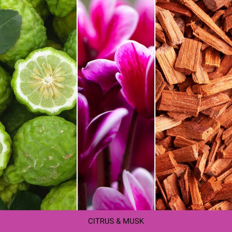 Mr&Mrs Fragrance - Cards Pink - Citrus & Musk - Autoduft