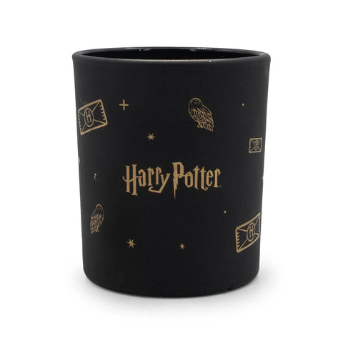 Harry Potter™