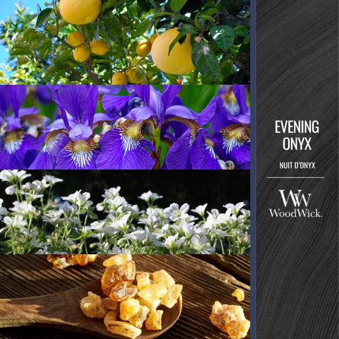 WoodWick - Evening Onyx - Duftkerze