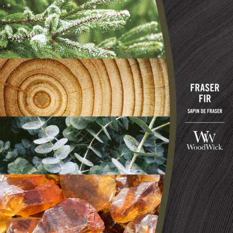 WoodWick - Frasier Fir - Duftkerze