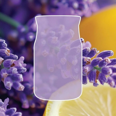 Raumdüfte von Yankee Candle jetzt online kaufen | AlletDufte.de