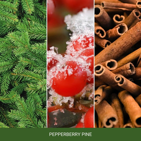 Yankee Candle - Pepperberry Pine - Duftkerze - 340g