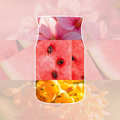 Yankee Candle - Pink Sands - Signature Duftkerze - 110g