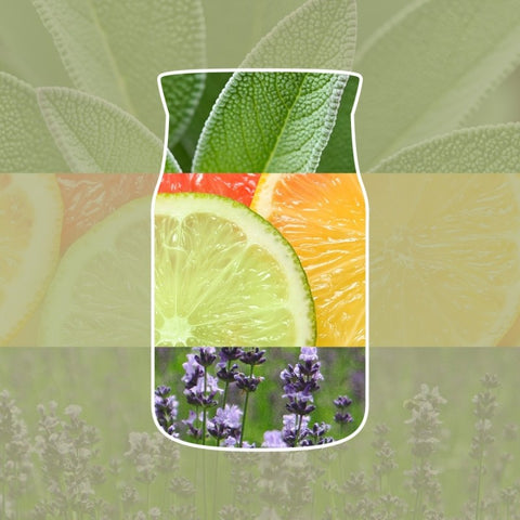 Raumdüfte von Yankee Candle jetzt online kaufen | AlletDufte.de