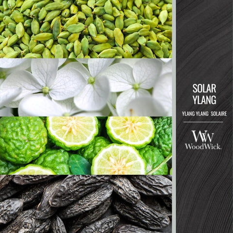WoodWick - Solar Ylang - Ellipse - 454g