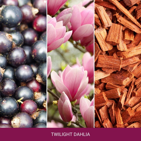 Yankee Candle - Twilight Dahlia - Duftkerze - 538g