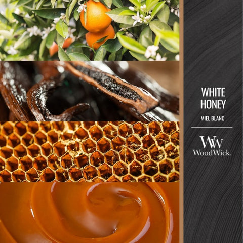 WoodWick - White Honey - Duftkerze