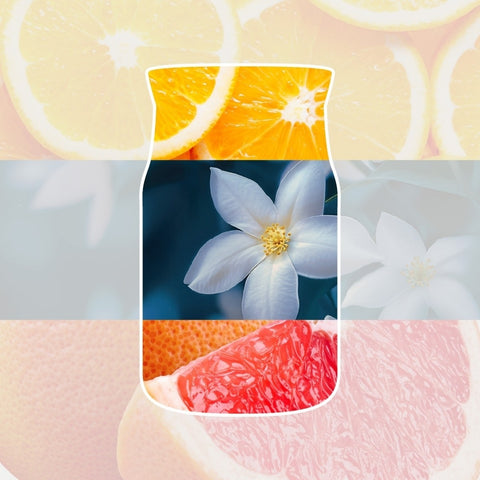 Yankee Candle Midnight Jasmine Reed Diffuser 100ml – Bild 3